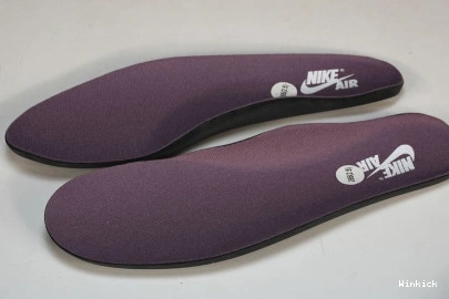 High “Mauve” DZ5485-105 Jordan OG 1 1113